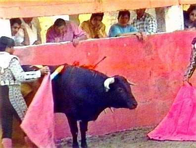 Cruel Sports - Bullfighting
