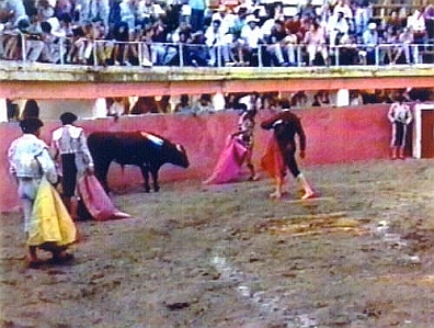 Cruel Sports - Bullfighting