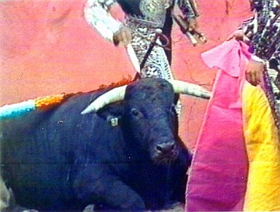 Cruel Sports - Bullfighting