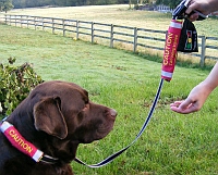 Dangerous dogs in the UK