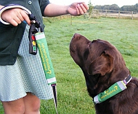 Dangerous dogs in the UK